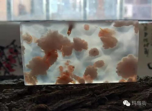 自然繪卷 健身器材上的天然藝術(shù)畫風