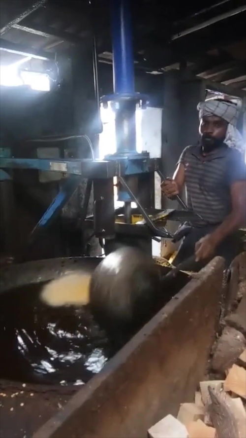 印度油炸食品加工廠 一鍋油2000斤的產(chǎn)能奇跡與安全隱患